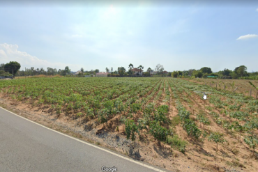 GPPL0121_E  Land plot for sale in good location